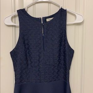 Blue Fancy Skater Dress